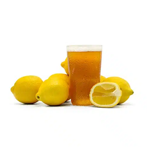 Northern Brewer   Summer Squeeze Lemon Shandy Extract Homebrew Beer Recipe Kit