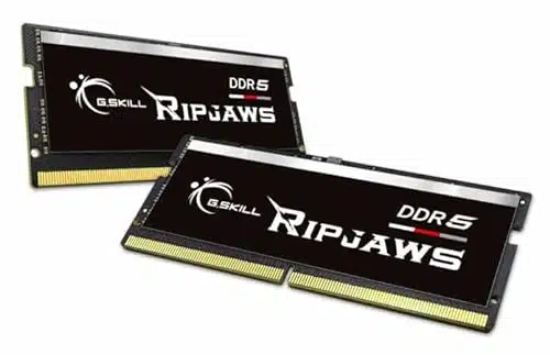 G.SKILL Ripjaws DDRSO DIMM Series DDRRAGB (xGB) Ts CLV Unbuffered Non ECC NotebookLaptop Memory SODIMM (FSAGXRS)