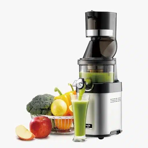 Kuvings CShole Slow Juicer with BPA Free Components, Hour Operation, Easy to Clean, Heavy Duty, Commercial Grade, Stainless Steel