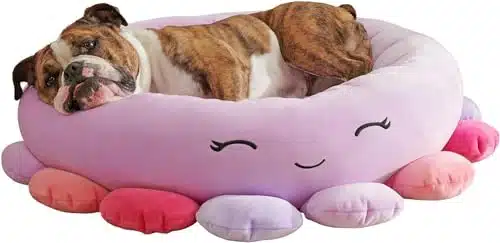 Squishmallows Inch Beula Octopus Pet Bed   Small Ultrasoft Official Squishmallows Plush Pet Bed