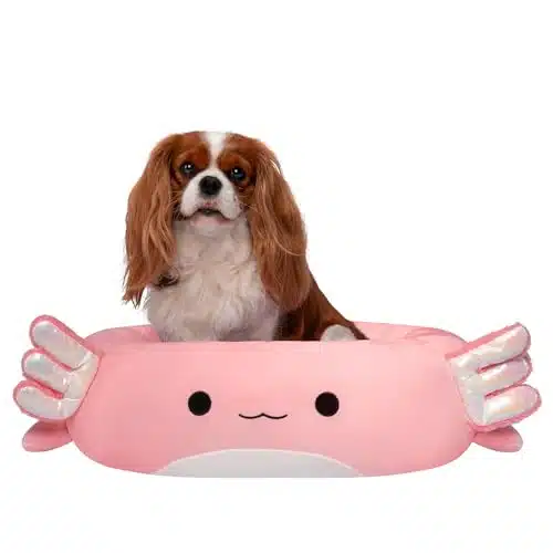 Squishmallows Original Inch Archie The Axolotl Pet Bed   Medium Ultrasoft Official Plush Pet Bed