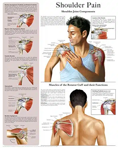 Shoulder Pain e chart Quick reference guide